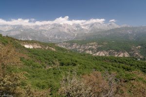 Ореховый лес Арсланбоба