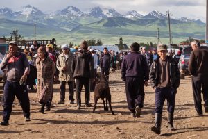 Karakol animal market