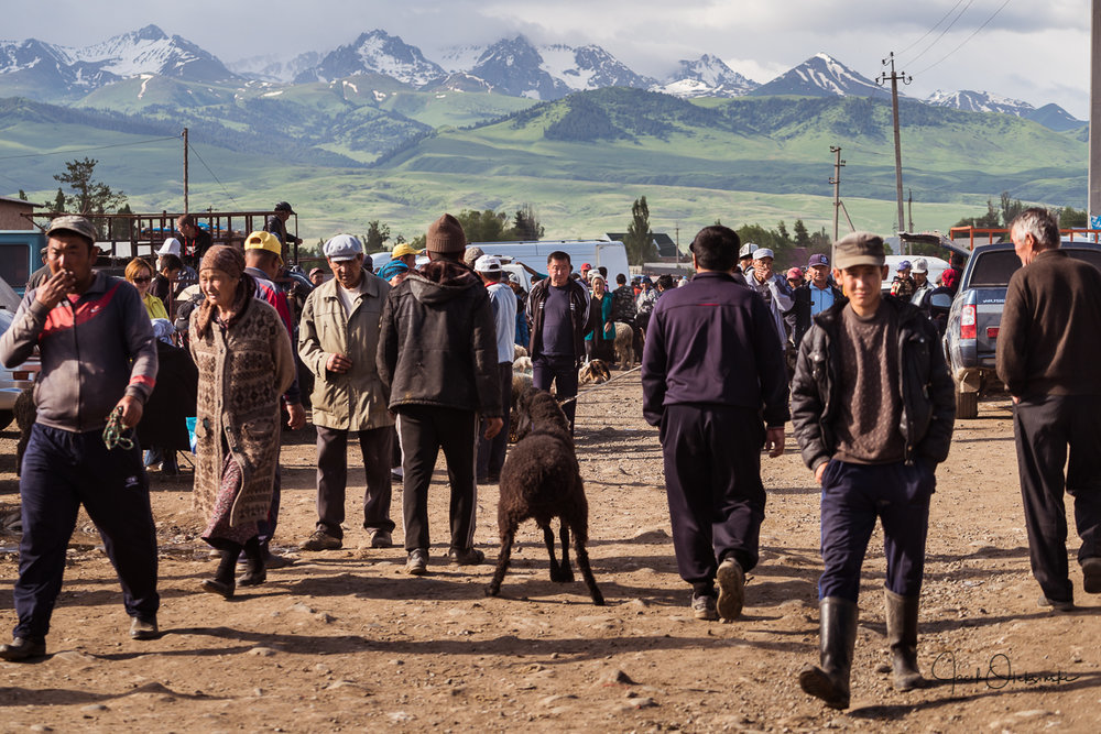 Karakol animal market