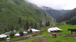 Kok-Archa Guesthouse in Tar-Suu Gorge