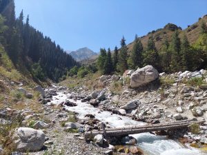 Wooded Adygene Valley and a log crossing over the river.