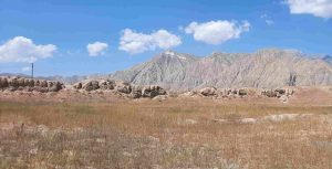Shyrdakbek fortress remains in their landscape