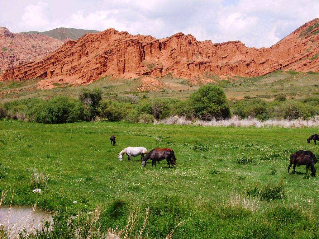 Ak-Tash area in Chong Kyzyl Suu Valley