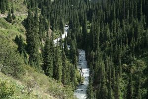 Altyn-Arashan Valley — site photograph