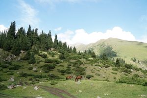 Altyn-Arashan Valley — site photograph