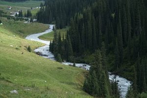 Altyn-Arashan Valley — site photograph