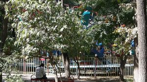 Panfilov Park — site photograph