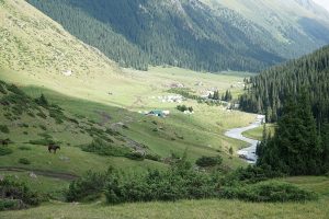 Altyn-Arashan Valley — site photograph