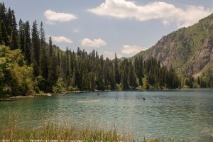 Sary-Chelek Lake