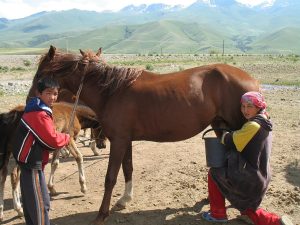 Suusamyr Valley