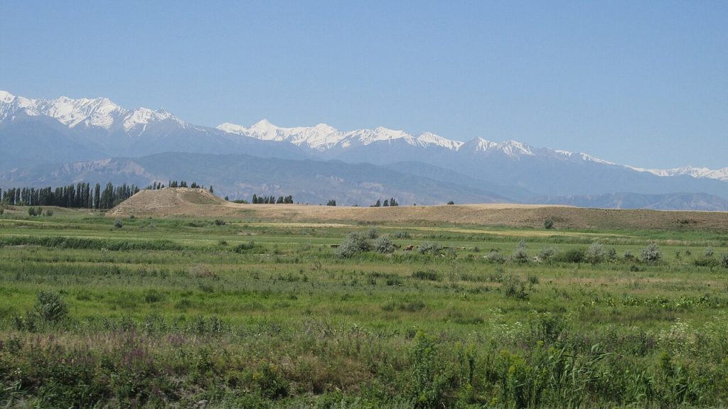 Nevaket: Krasnaya Rechka — site photograph