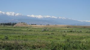 Nevaket: Krasnaya Rechka — site photograph
