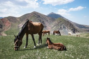 Аламединское ущелье