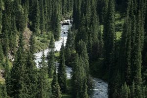 Altyn-Arashan Valley — site photograph