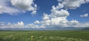 Суусамырская долина