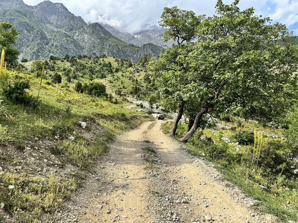 Dashman Nature Reserve