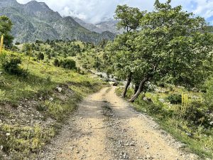 Dashman Nature Reserve