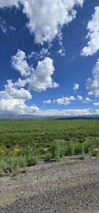 Суусамырская долина