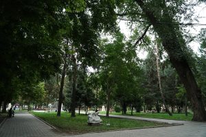 Oak Park and Open-Air Sculpture Museum — site photograph