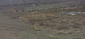 Barskoon Caravanserai Remains — site photograph