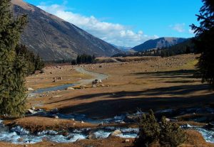 River in Grigoriev (Chon Ak-Suu) Gorge