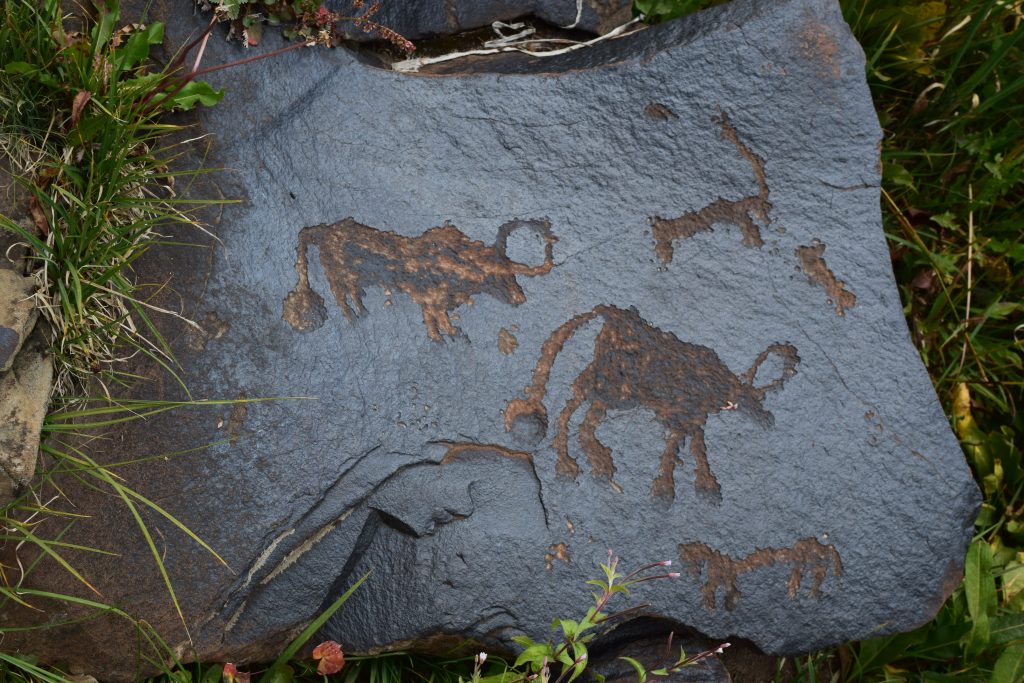Animal petroglyphs at Saimaluu-Tash