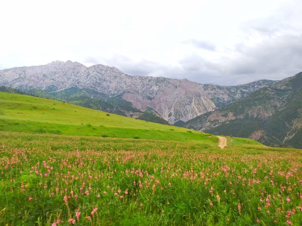 Sarkent Nature Park